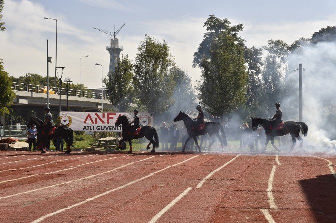 Ankara Büyükşehir’den, ’Hayvanları Koruma Günü’ Etkinliği