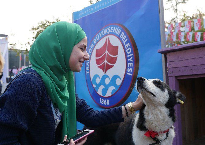 Trabzon’da Sokak Hayvanları Unutulmadı