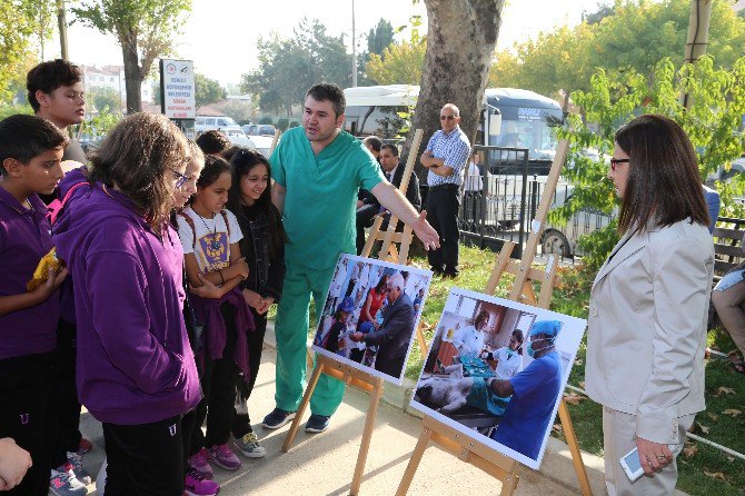 Denizli Büyükşehir’den Dünya Hayvanları Koruma Günü Etkinliği