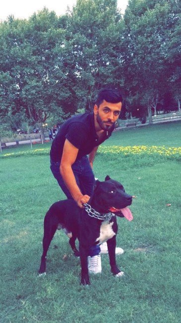 Köpek Yüzünden 2 Kişinin Yaralandığı Kavgada Tahliye