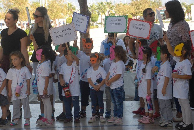 Hayvanları Koruma Günü Fethiye’de Kutlandı