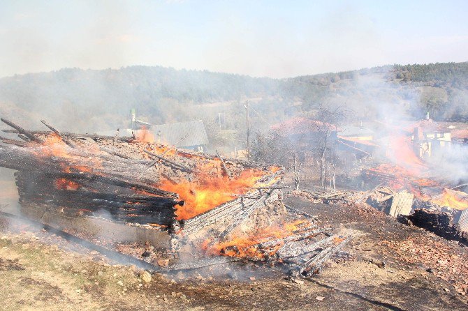 Kastamonu’da Çıkan Yangında 2 Ev Küle Döndü