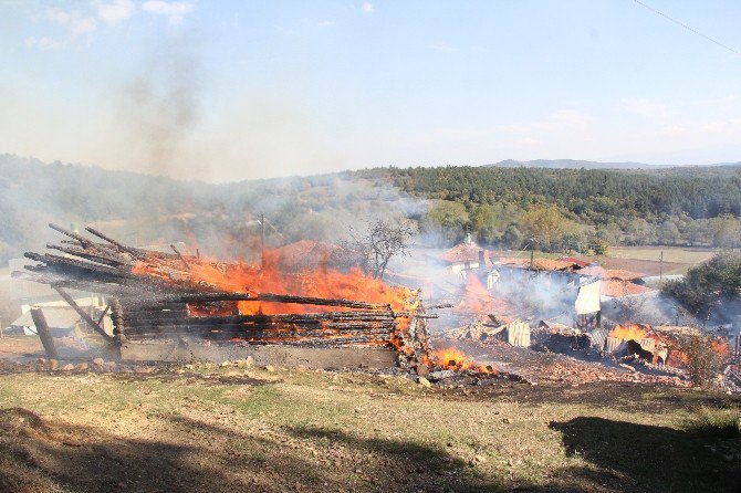 Kastamonu’da Çıkan Yangında 2 Ev Küle Döndü