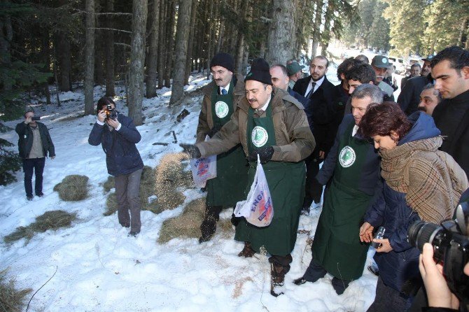 Orman Ve Su İşleri Bakanı Eroğlu’nun, 4 Ekim Dünya Hayvanlarını Koruma Günü Mesajı