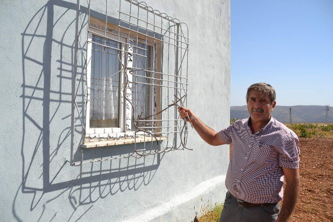 Siirt’te Çiftçilerin Başı Hırsızlarla Dertte