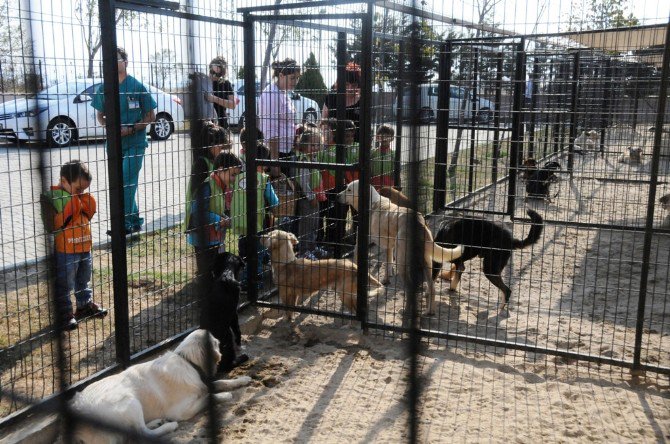 Minik Öğrenciler Hayvanları Koruma Gününde Geçici Bakımevini Ziyaret Etti