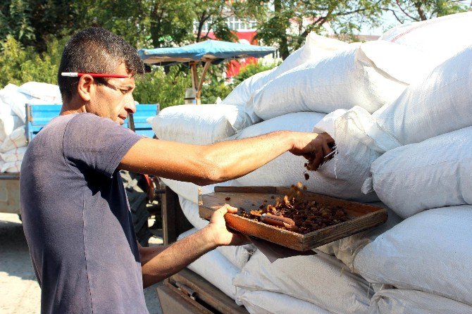 Tariş Kuru Üzüm Fiyatını Açıkladı