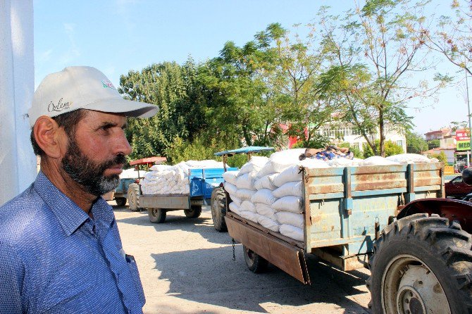 Tariş Kuru Üzüm Fiyatını Açıkladı