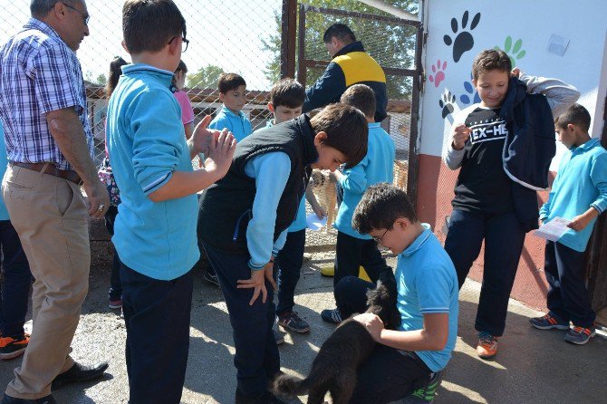 Niksar’da Öğrencilere “Hayvan Sevgisi” Aşılandı