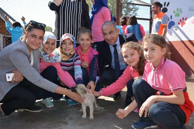 Niksar’da Öğrencilere “Hayvan Sevgisi” Aşılandı