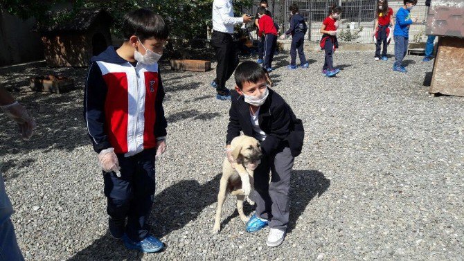 4 Ekim Dünya Hayvanları Koruma Günü