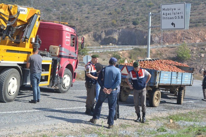 Domates Yüklü İki Römorku Çeken Traktör Devrildi