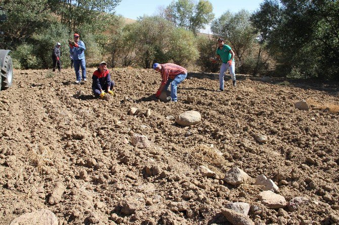 Yozgat Çiftçisi Taş Toplama Makinesi İstiyor