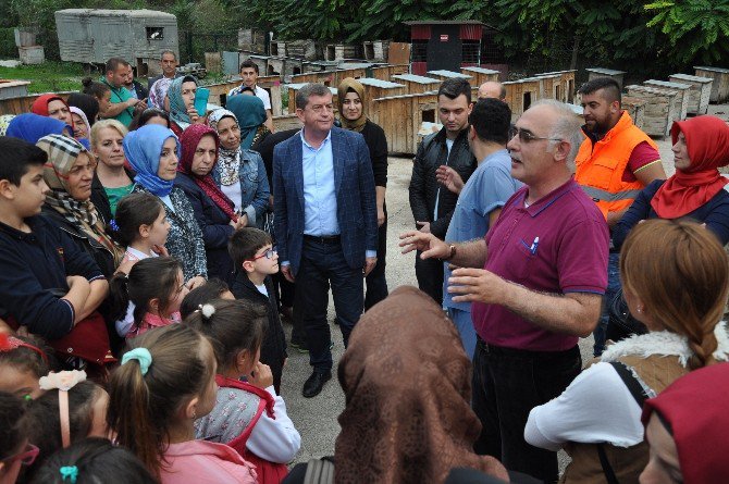 Ak Kadınlar’dan Çocuklarıyla Birlikte Hayvan Barınağına Ziyaret