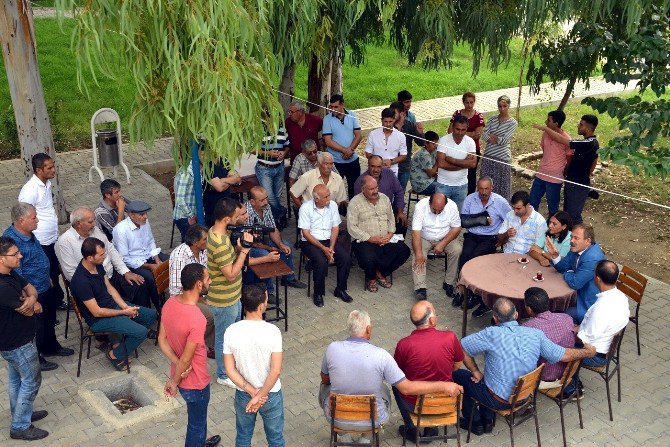 Eş Başkanlar Mutlu Ve Türk, Halkla Buluşmaya Devam Ediyor