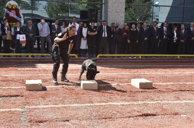 Ankara’da “Hayvanları Koruma Günü” Etkinliği Düzenlendi