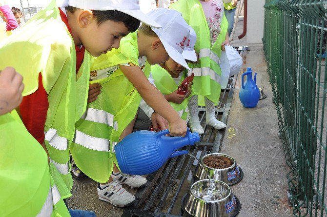 Anaokulu Öğrencileri Gönüllerince Hayvanları Severek Beslediler