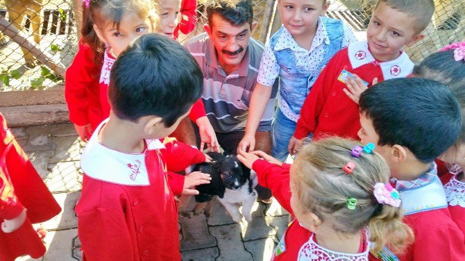 Kemalpaşa Belediyesi’nden Anlamlı Etkinlik