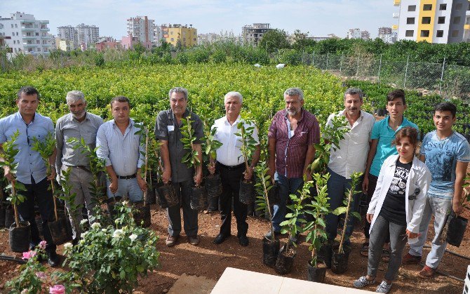 Erdemli Ziraat Odası Sertifikalı Fidan Satışlarına Başladı