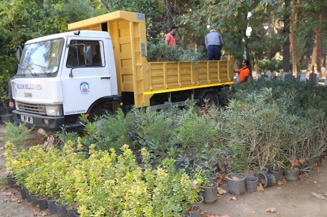 Selçuk Belediyesinden Ek Mezarlık Alanı