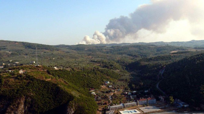 Bursa’da Yanan Ormanlık Alana 132 Bin Fidan Dikildi