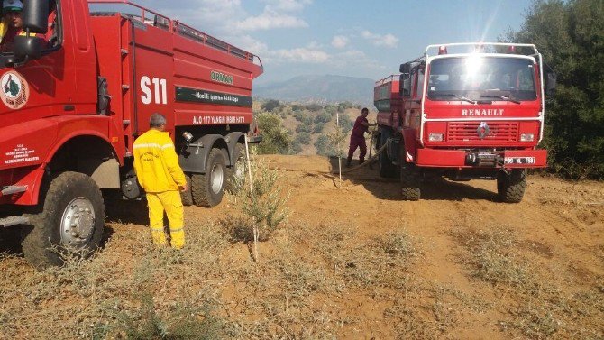 Nazilli’de Zeytinlik Alan Kül Oldu