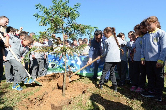 Pelitli’de, Fidanlar Toprakla Buluştu