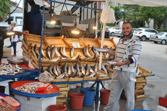 Palamut Pazarların Gözdesi