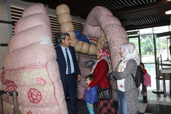 Öğrenci Ve Vatandaşlara Maket Ciğerle Eğitim