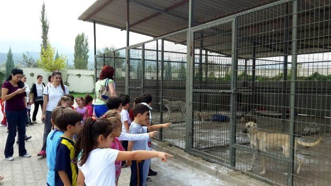 Minik Öğrenciler Sevimli Dostları Unutmadı