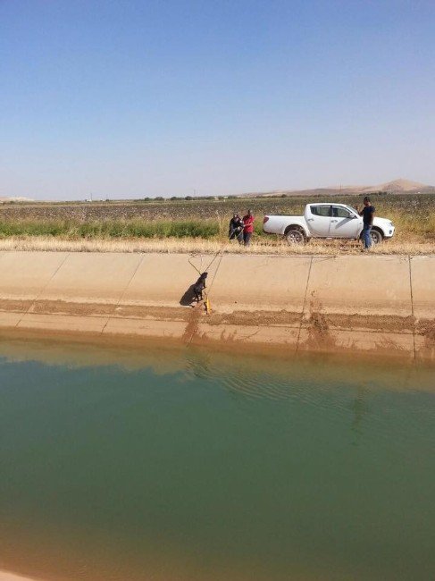 Kanala Düşen Köpek İtfaiye Ekiplerince Kurtarıldı