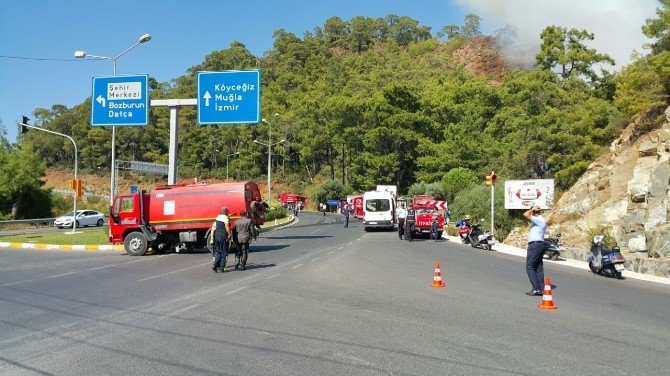 Marmaris’te Orman Yangını