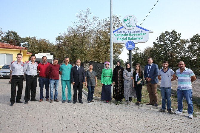 Orman Su İşleri, Barınağa Kedi Evi Hediye Etti