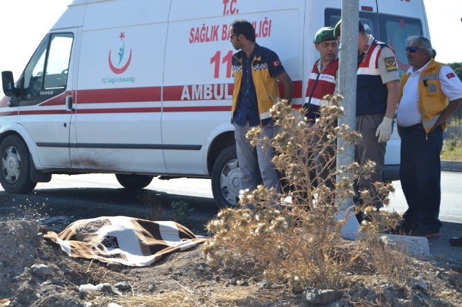 Ayvalık’ta Yol Kenarında Ceset Bulundu