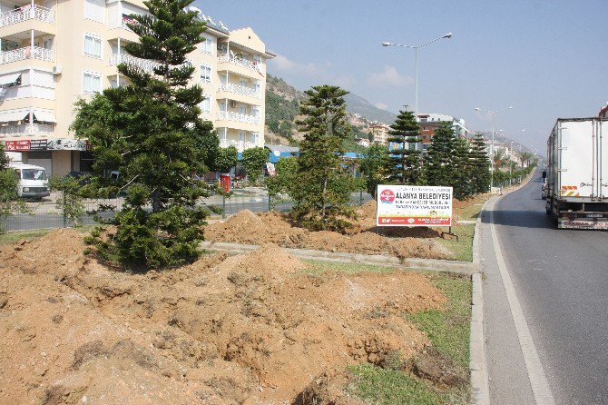 Alanya’da Orta Refüje 11 Km’lik Otomatik Sulama Sistemi Yapılıyor