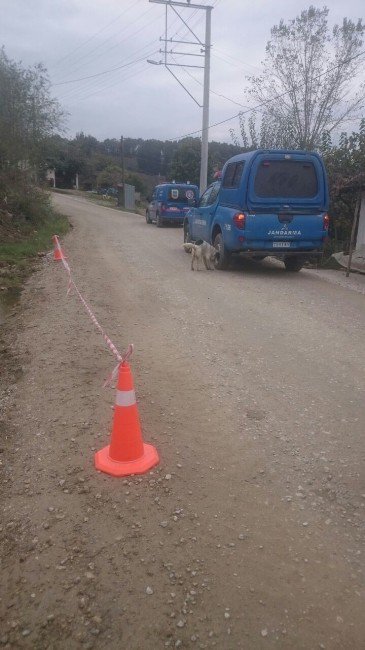 Sakarya’da 600 Kilo Fındık Çalındı