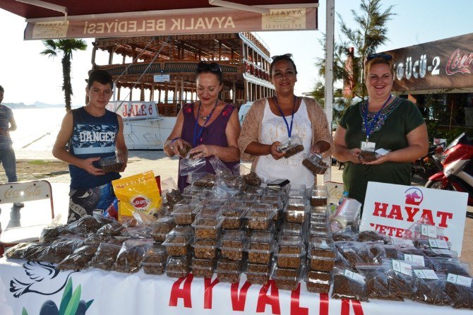 Ayvalık’ta Sokak Hayvanlarına Anlamlı Destek