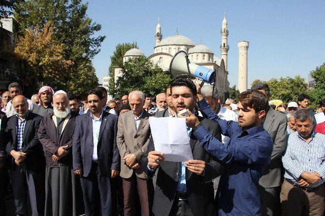 Kobani’de Hayatını Kaybedenler İçin Malatya’da Gıyabi Cenaze Namazı Kılındı