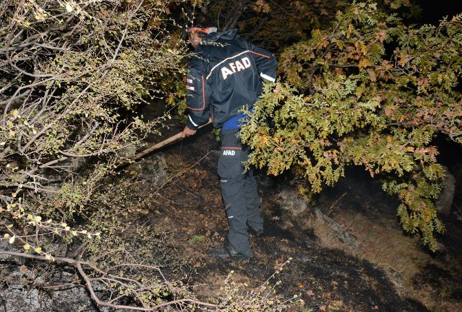 Aksaray’da Orman Yangını