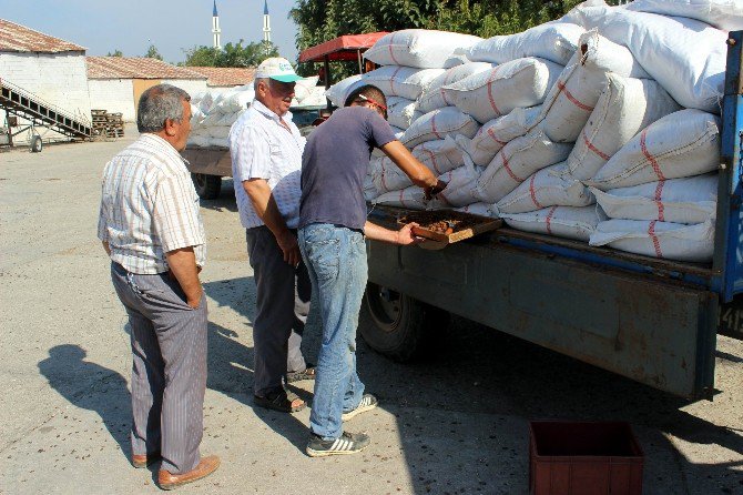 Üzümde Düşük Fiyat Açıklamasına Chp’den Tepki