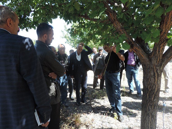 Kale’de Çiftçi Tarla Okulları Eğitimi Yapıldı