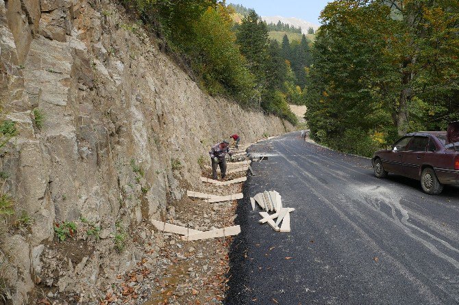 Dokap’ın Yeşil Yol Çalışmaları Uzungöl’de Masaya Yatırıldı