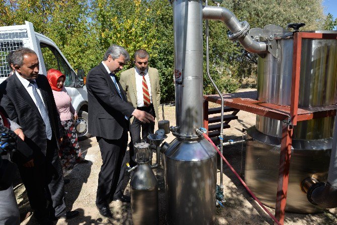 Kayseri’de Bir İlke Daha İmza Atıldı: Lavanta Yağı Üretimi İçin Distilasyon Ünitesi Kuruldu