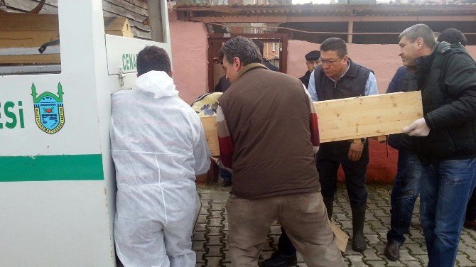 Baltayla Kocasını Öldüren Oğlundan Şikayetçi Olmadı