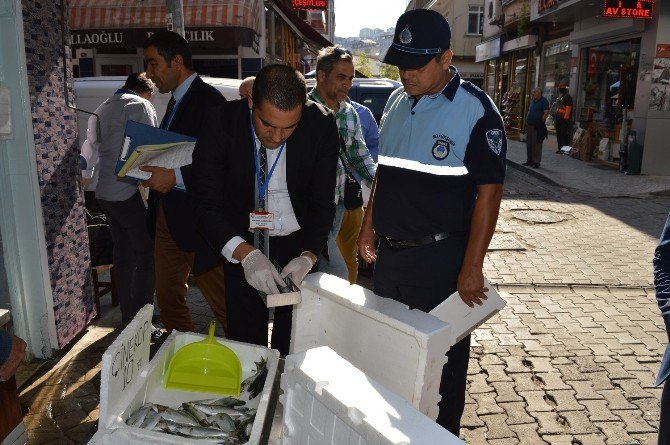 Ordu’da Balık Satış Yerleri Denetleniyor