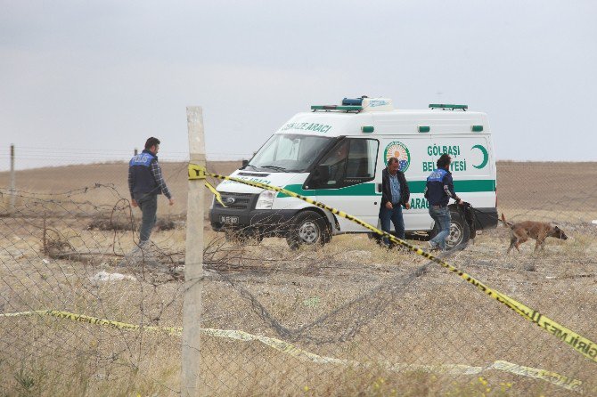 Canlı Bombaların Cesetleri Olay Yerinden Kaldırıldı