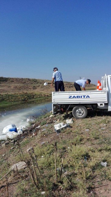 Reyhanlı’da 200 Kilo Süt Ve Yoğurt İmha Edildi