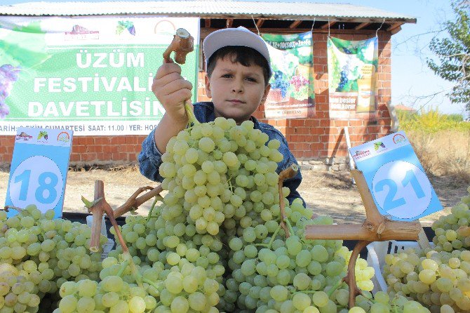 Üzümler Birinci Olmak İçin Yarıştı