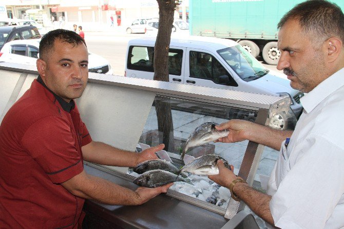 Silopi’de Balık Satışları Esnafı Sevindirdi