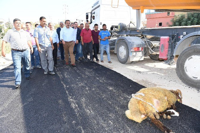 İlk Kez Asfalt Yolla Tanıştılar